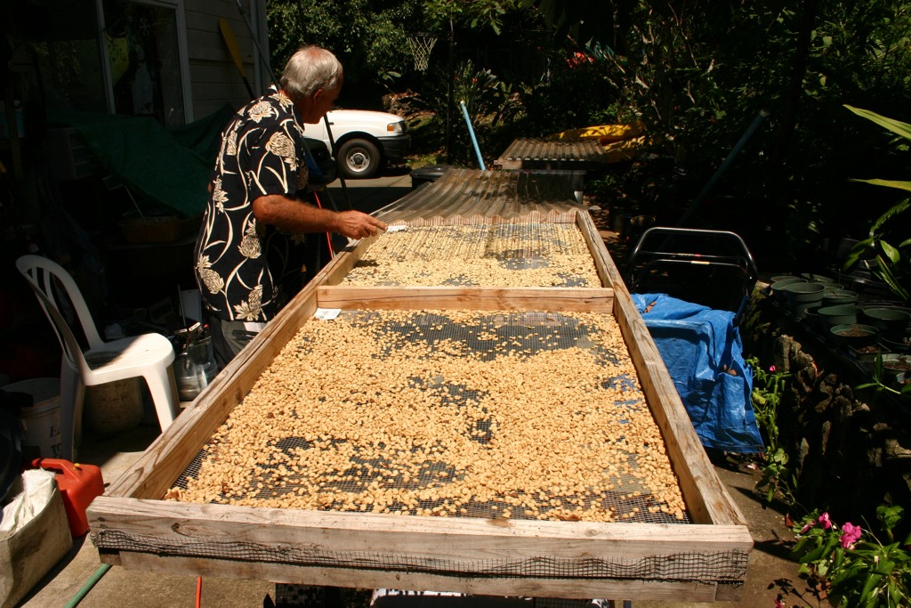 The drying trays